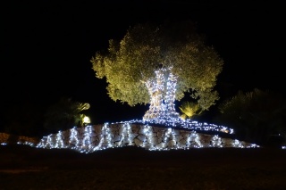 Christmas at Las Colinas