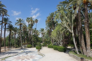 El-Palmeral Elche