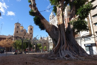 Murcia - Plaza Santo Domingo