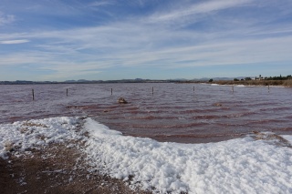 Torrevieja - Salinas de la Mata