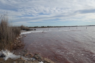Torrevieja - Salinas de la Mata