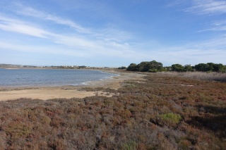 Torrevieja - Salinas de la Mata