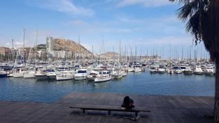 Alicante-Puerto