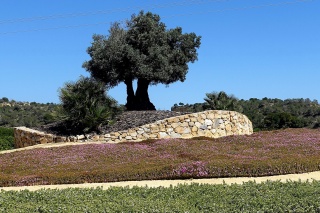 Villa Naranjo luxe vakantiehuis te huur alicante las colinas spanje natuur mediterraans zon weer