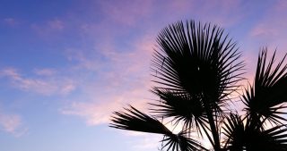 Villa Naranjo luxe vakantiehuis te huur alicante las colinas spanje palmboom zonsondergang