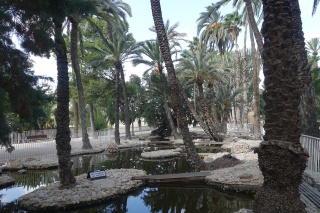 Villa Naranjo luxe vakantiehuis te huur alicante las colinas spanje elche palmbomen