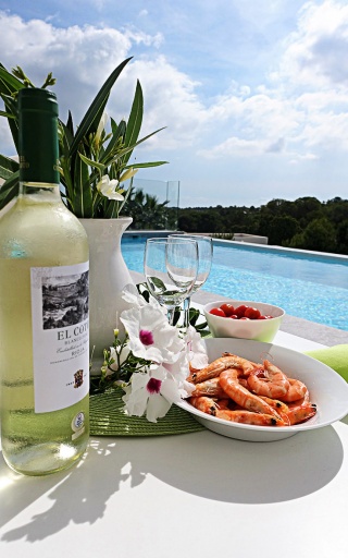 Villa Naranjo luxe vakantiehuis te huur alicante las colinas spanje prive zwembad terras flora zon weer