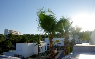Villa Naranjo luxe vakantiehuis te huur alicante las colinas spanje zon weer temperatuur